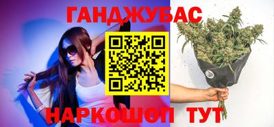 мдпв Камень-на-Оби