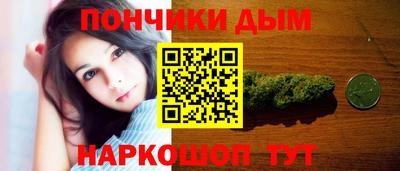 мдпв Камень-на-Оби