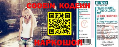 мдпв Камень-на-Оби