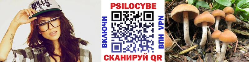 Купить закладки  Апрелевка  Псилоцибиновые грибы Psilocybine cubensis 
