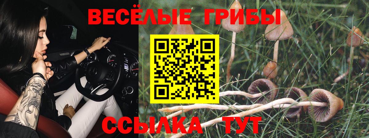 МЕФ Апрелевка