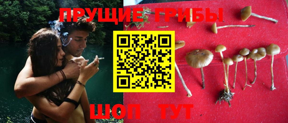 Галлюциногенные грибы мухоморы  Вход с VPN  Галлюциногенные грибы Cubensis  Апрелевка 