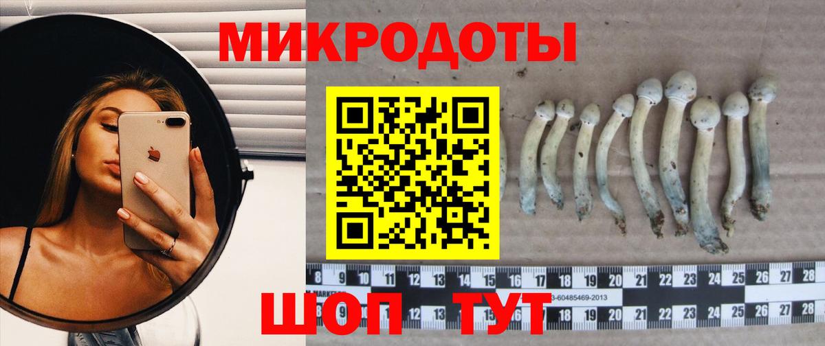 Галлюциногенные грибы мицелий  Апрелевка 